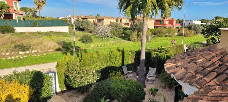 Blick vom Obergeschoss über den Palmengarten auf Felder und Nachbarvillen