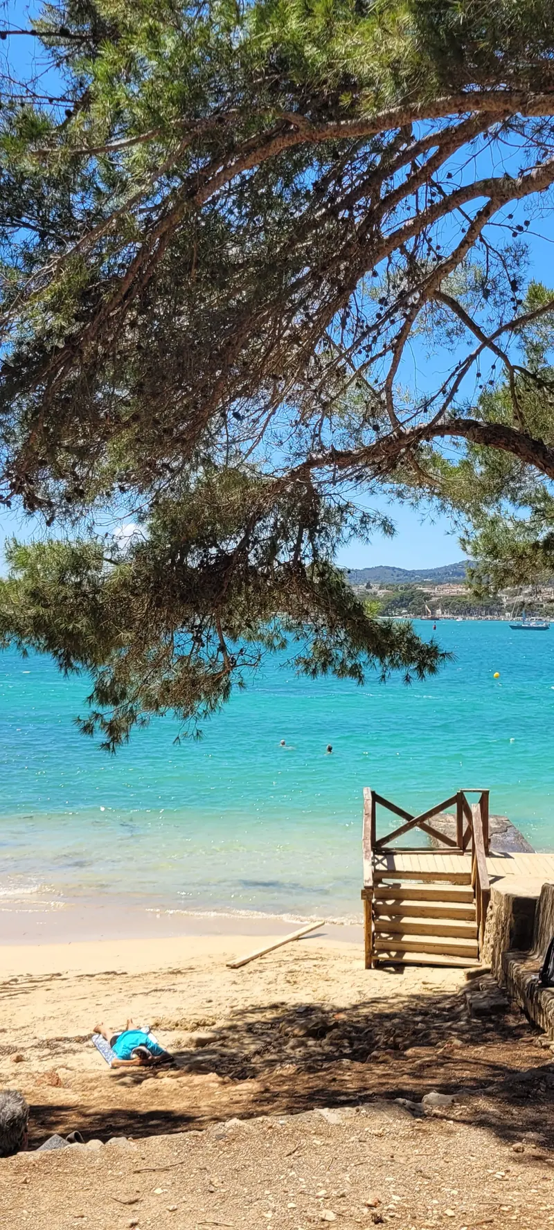Türkisfarbene Bucht unter einer Pinie mit Holzsteg
