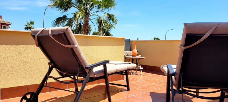 Dachterrasse mit zwei gepolsterten Liegestühlen und Palme