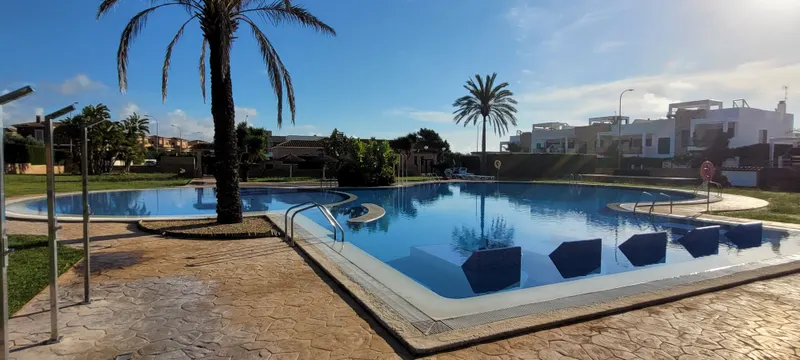 Poolanlage mit hoher Palme am Beckenrand