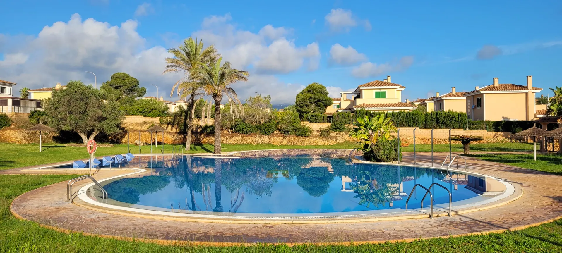 Großer geschwungener Pool in gepflegter Gartenanlage mit Palme